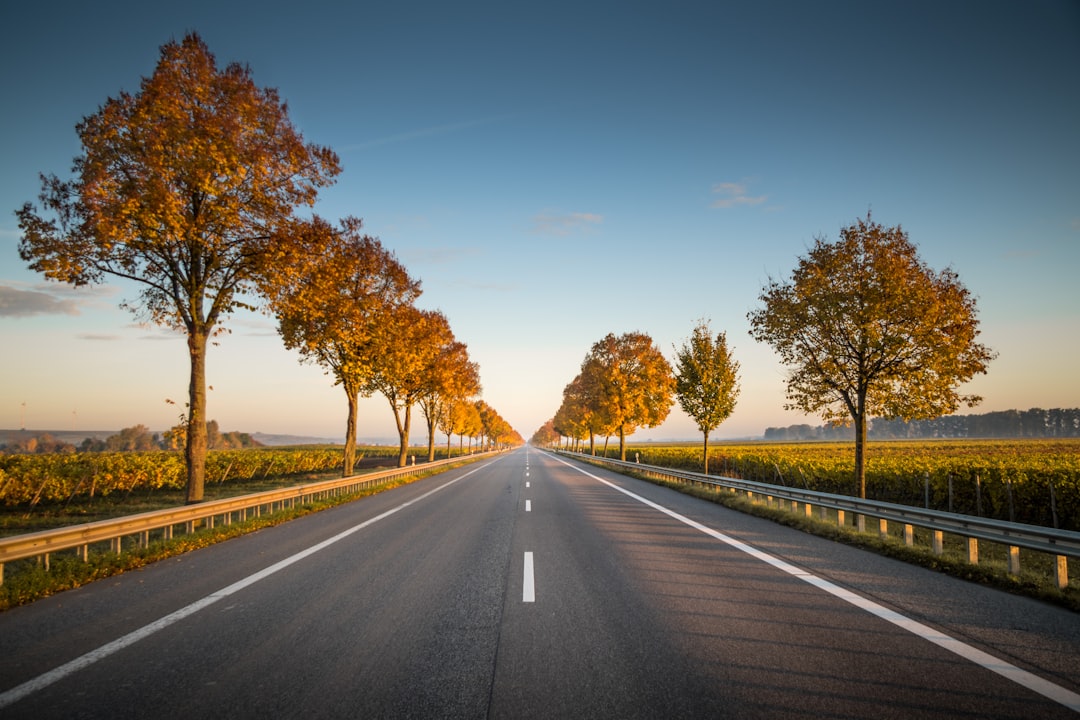 découvrez nos conseils et itinéraires pour un road trip inoubliable à travers des paysages magnifiques et des aventures uniques.