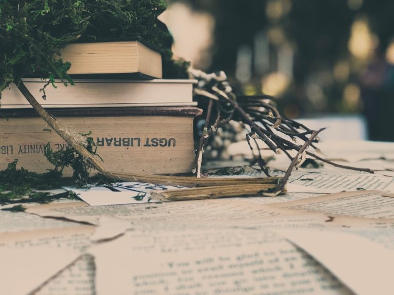 Écologie et littérature romantique : des histoires pour un mode de vie durable